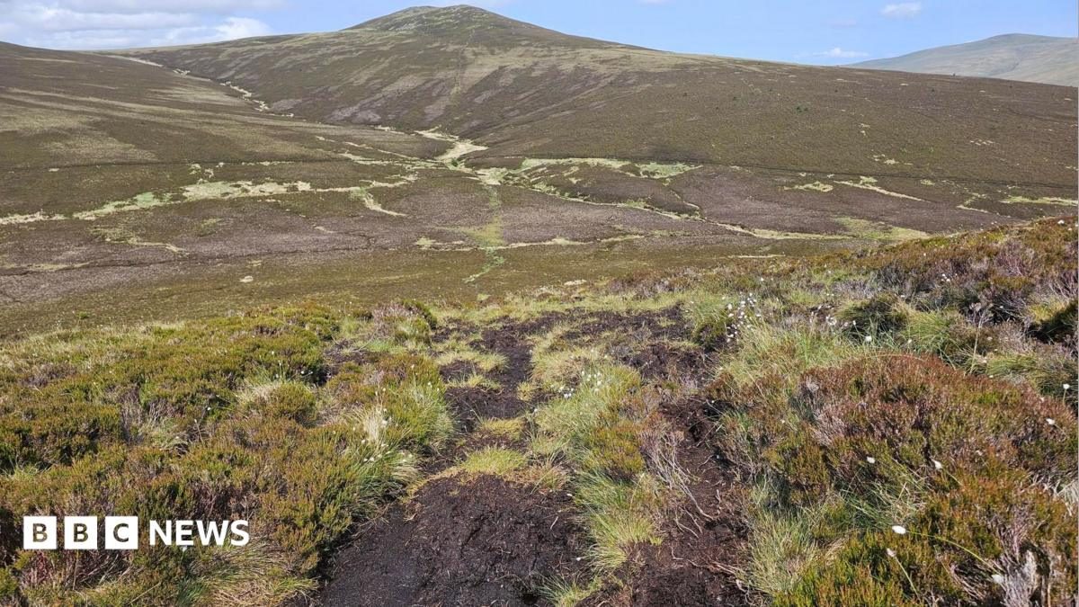 Cumbria'da Bozulmuş Turbalık Alanlar Restore Ediliyor: Karbon Depolama ve Sel Önleme Hedefi