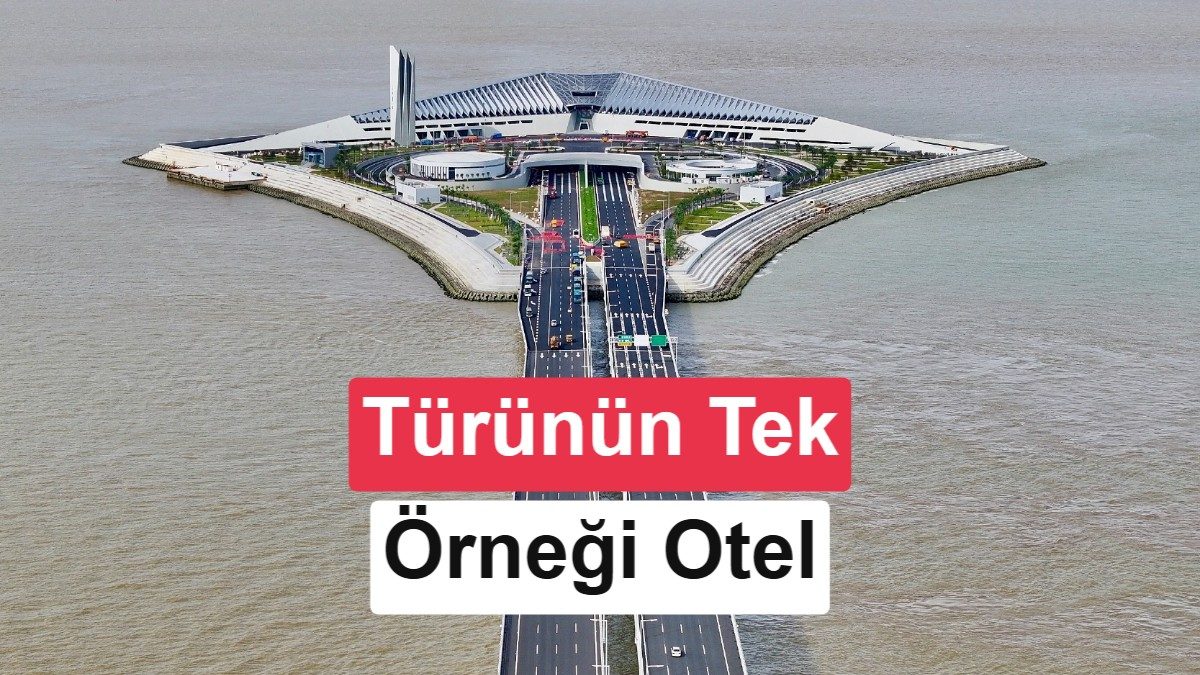 Robotlar Yükseliyor: Dünyanın İlk Tamamen Robot İşletmeli Oteli 2027'de Çin'de Açılıyor