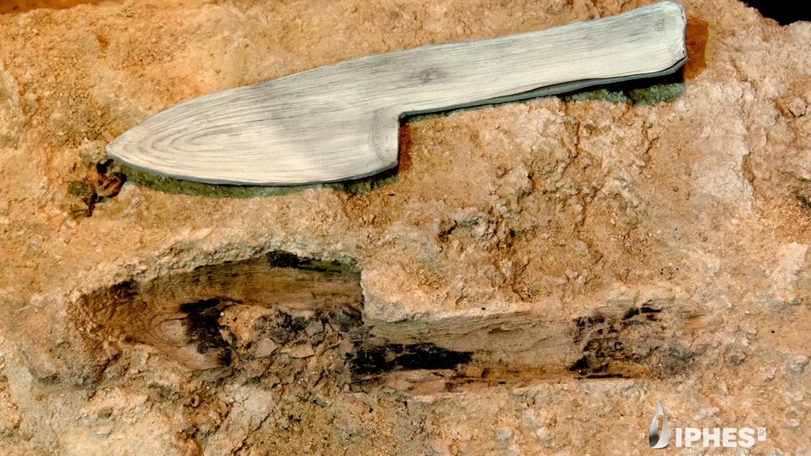 İspanya'da Taşlaşmış Halde Bulunan Neandertal Ahşap Aletler, Günlük Yaşamlarına Işık Tutuyor