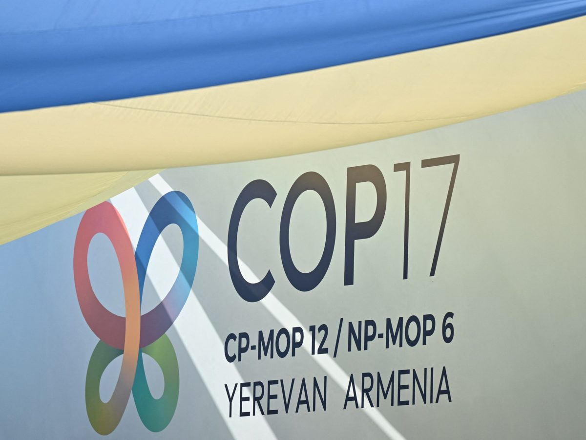 Ermenistan'ın COP17 Ev Sahipliği Madencilik ve Çevre Endişelerini Gündeme Getirdi