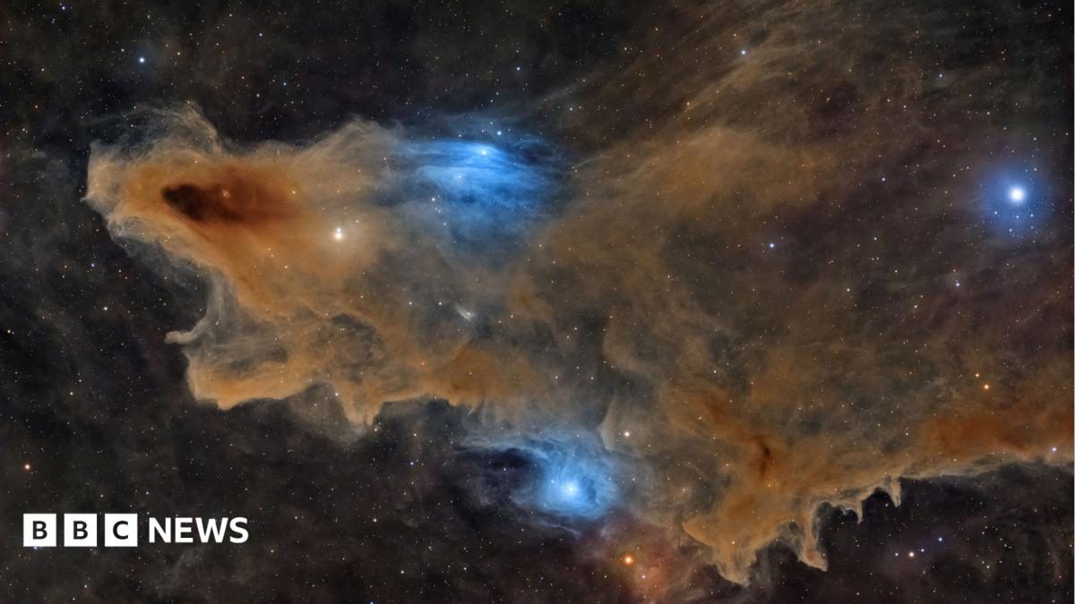 Kraliyet Gözlemevi'nin Yılın Astronomi Fotoğrafçısı ödülü Köpekbalığı Bulutsusu fotoğrafına gitti