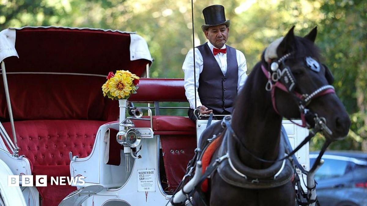 New York, Central Park'taki Atlı Faytonları Yasaklamaya Hazırlanıyor